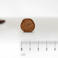 Huhn + Kartoffel Gemütlich